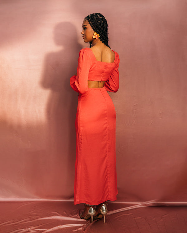 ROJA DIVINA